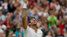 Wimbledon 2016: Juan Martin Del Potro