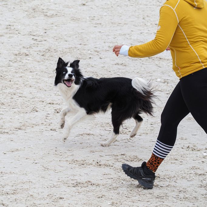 Mezinárodní kynologické závody Prague Agility Party 2022, závodiště Velká Chuchle