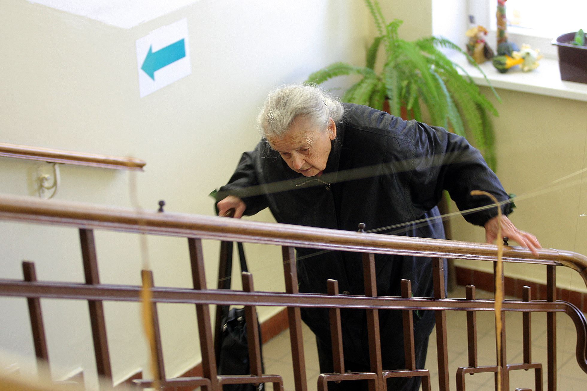 Referendum a volby v Jihlavě