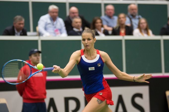 Plíšková vs. Halepová, Fed Cup, Česko vs. Rumunsko