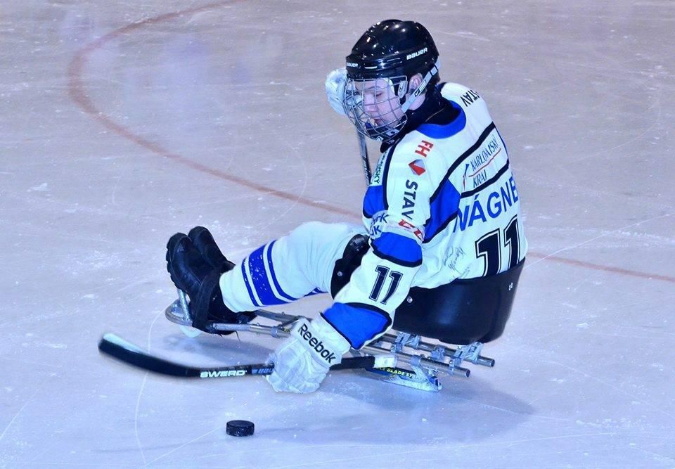 Česká sledge hokejová reprezentace: Karel Wágner