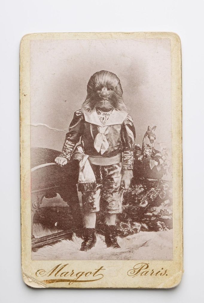 Antique freak show photograph. The photograph most likely depicts Stephan Bibrowski (1891-1932), better known as Lionel the Lion-Faced Man