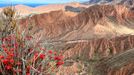 Krajina na jižním pobřeží jezera Issyk-Kul připomíná planetu Mars.