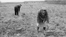 Střední a východní Evropa 50. a 60. let na fotkách amerických fotografů