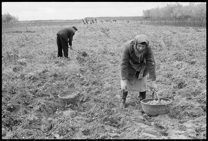 Střední a východní Evropa 50. a 60. let na fotkách amerických fotografů