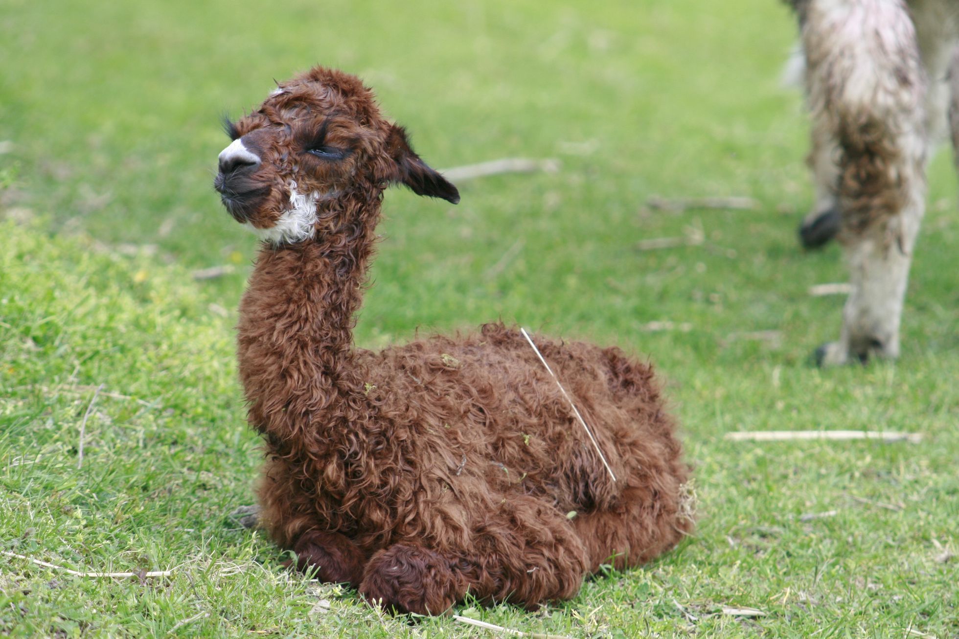 ZOO Ústí nad Labem