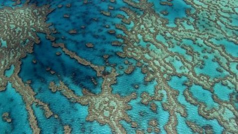 Velký bariérový útes, Queensland, Austrálie