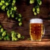 Pivo, ilustrační foto