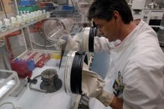 Vědci v pohotovosti, laboratoř zkoumá pašovaný uran