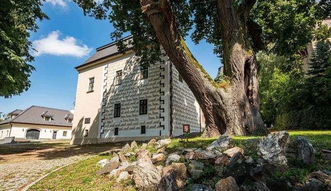 Dohrou Dnů soukromých hradů a zámků se 8. června stane 3. ročník Středověkých slavností na zámku Neustupov na Benešovsku, který postupně opravuje pan Michal Farník.