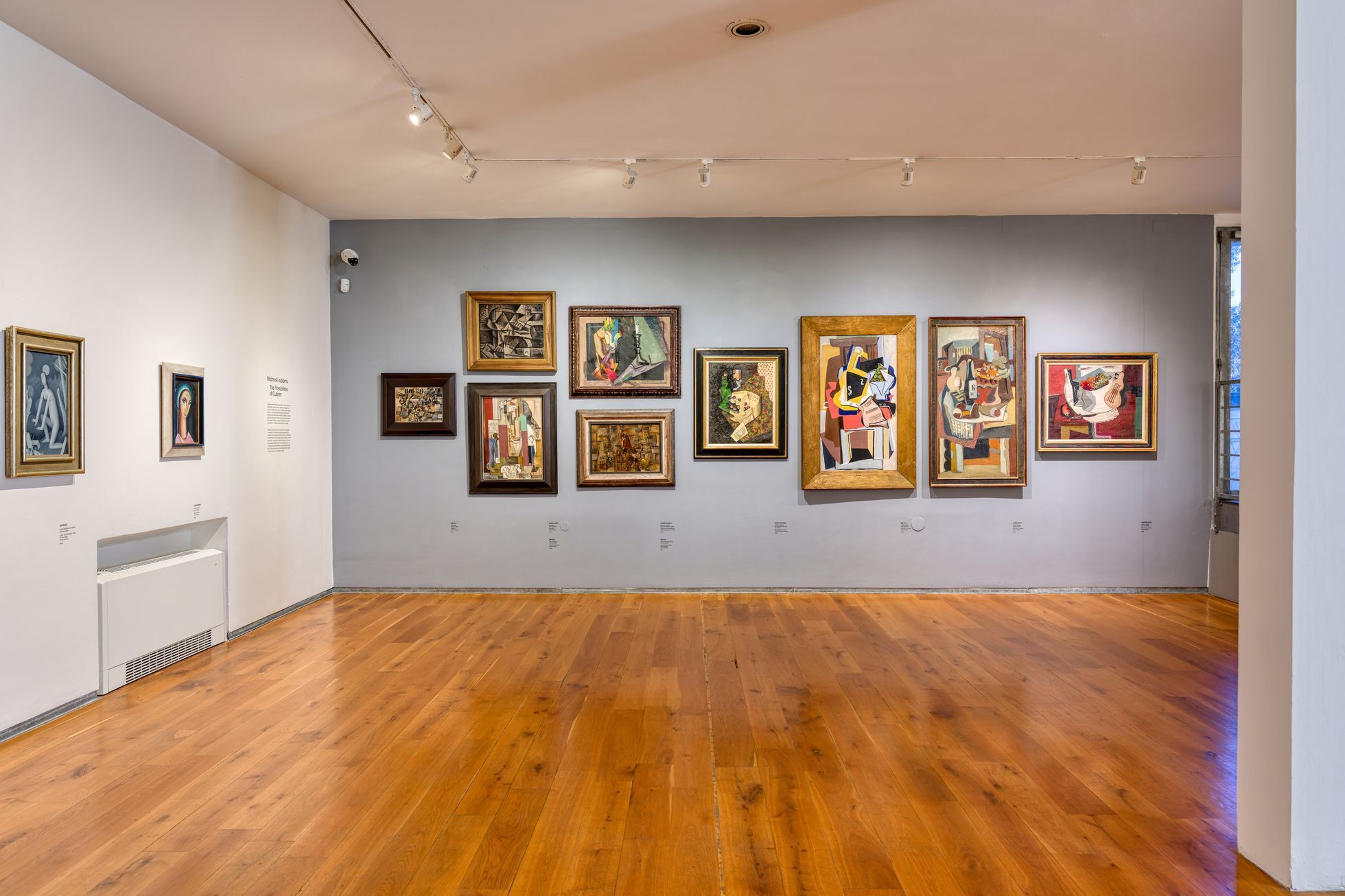 Husa na Kampě, Museum Kampa, 2024