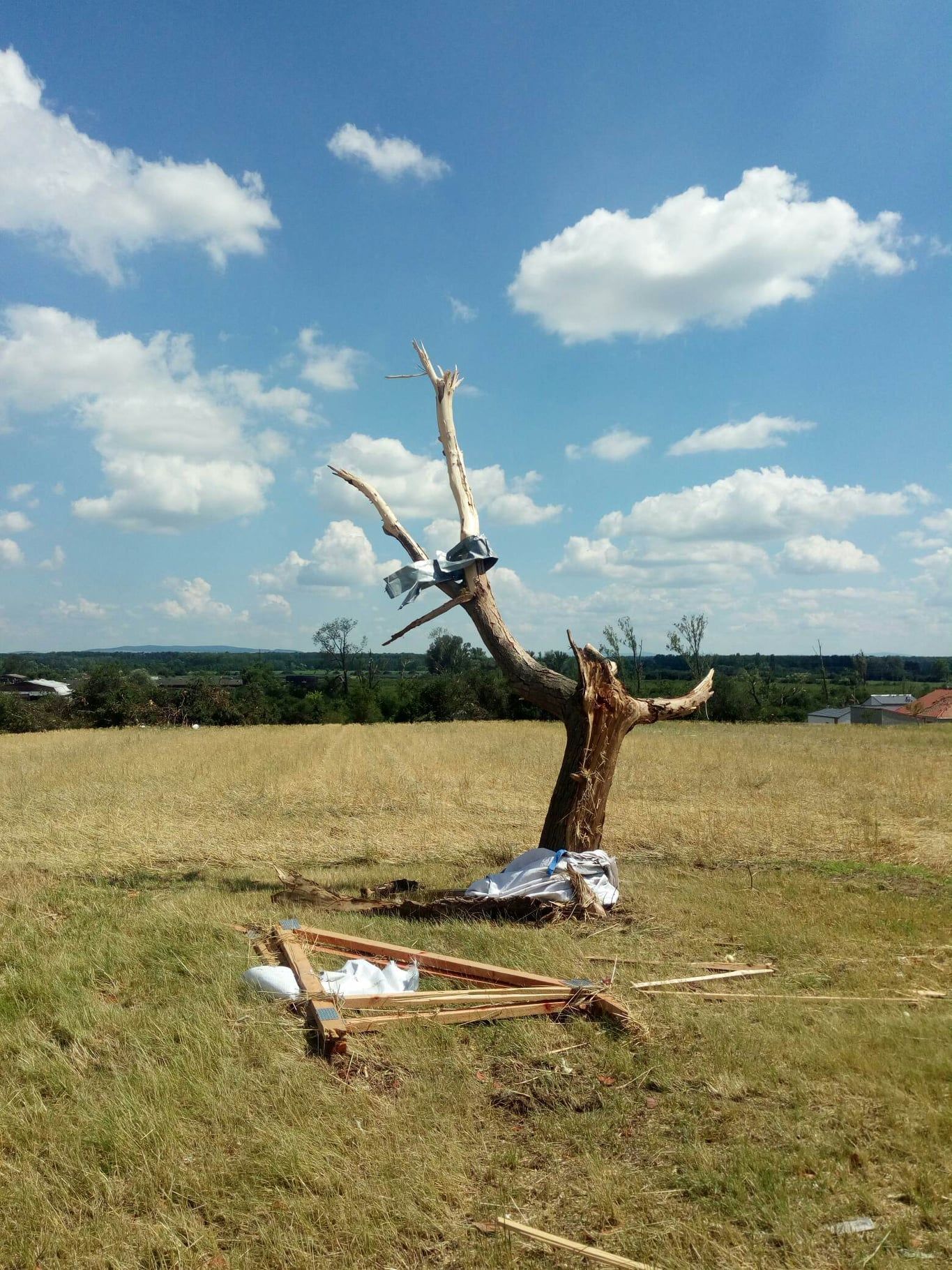 Mikulčice - pole