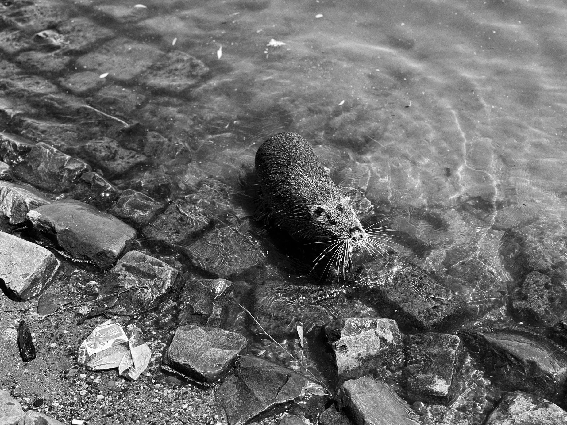 Workshop Jana Šibíka