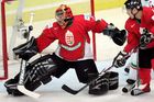 Jediný Maďar v NHL. Chytal jako Hašek, Turek se mu smál: Za výplatu koupíš Balaton
