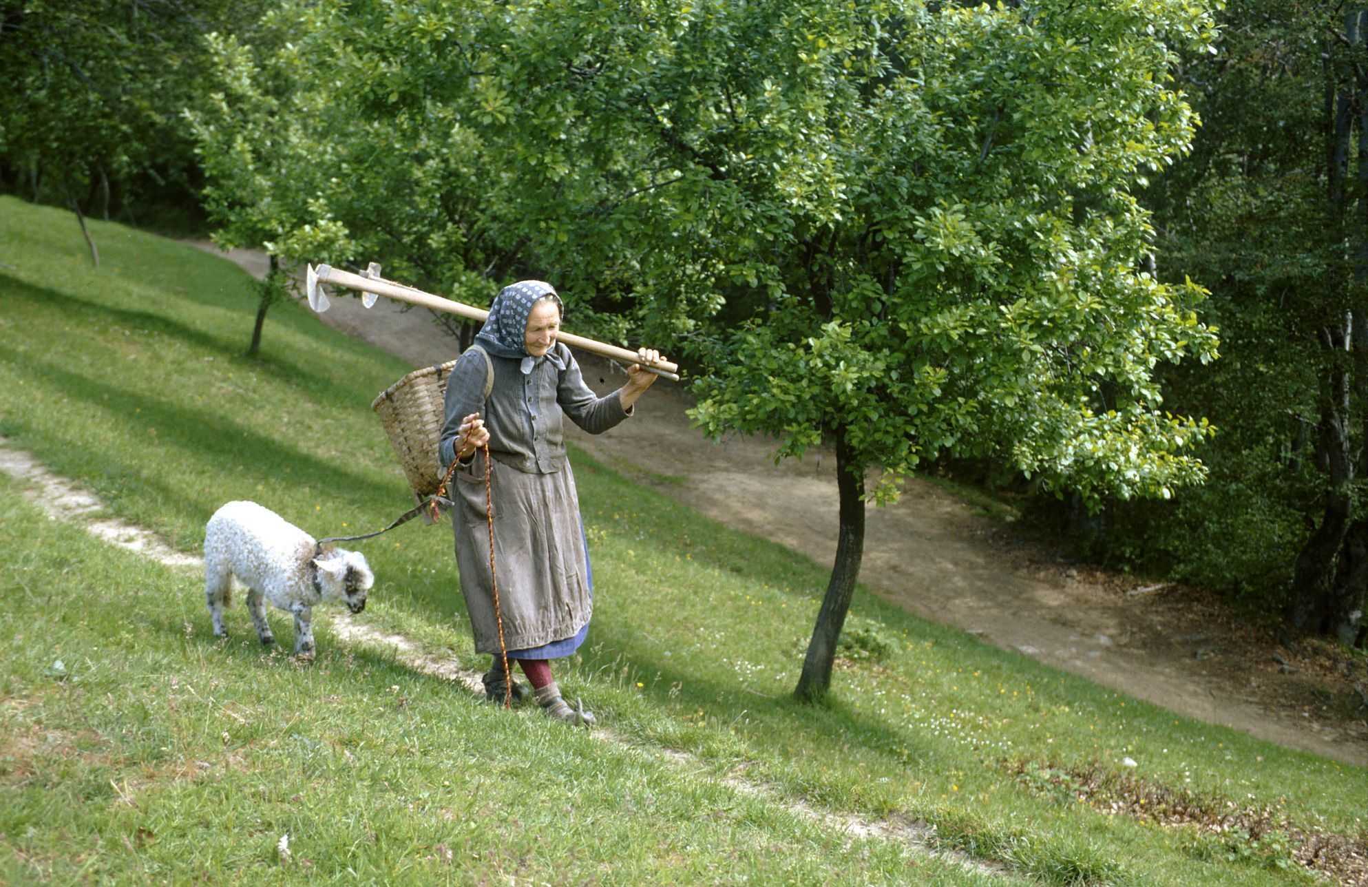 Banát, české vesnice, krajané, Rumunsko