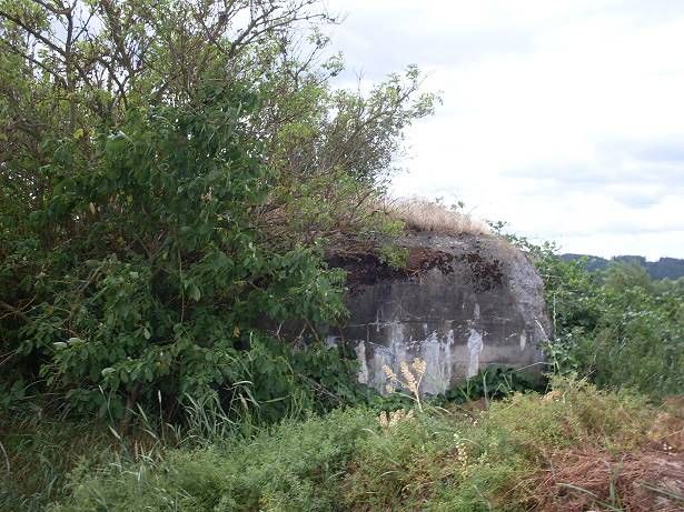 Chvaletín na Jindřichohradecku. Objekt stálého lehkého opevnění (úkryt 37-A-160) se nachází cca 150 metrů jižně od osady Chvaletín, leží jen několik metrů od komunikace vpravo při výjezdu z Chvaletína. Minimální kupní cena: 26 700 korun. | Foto: Ministerstvo obrany, ÚZSVM