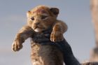Recenze: Nového Lvího krále počítačová animace proměnila v přírodopisný dokument