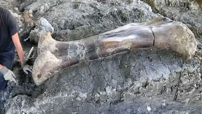 Francouzští vědci objevili gigantickou dinosauří kost