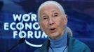 Bioložka Jane Goodallová.