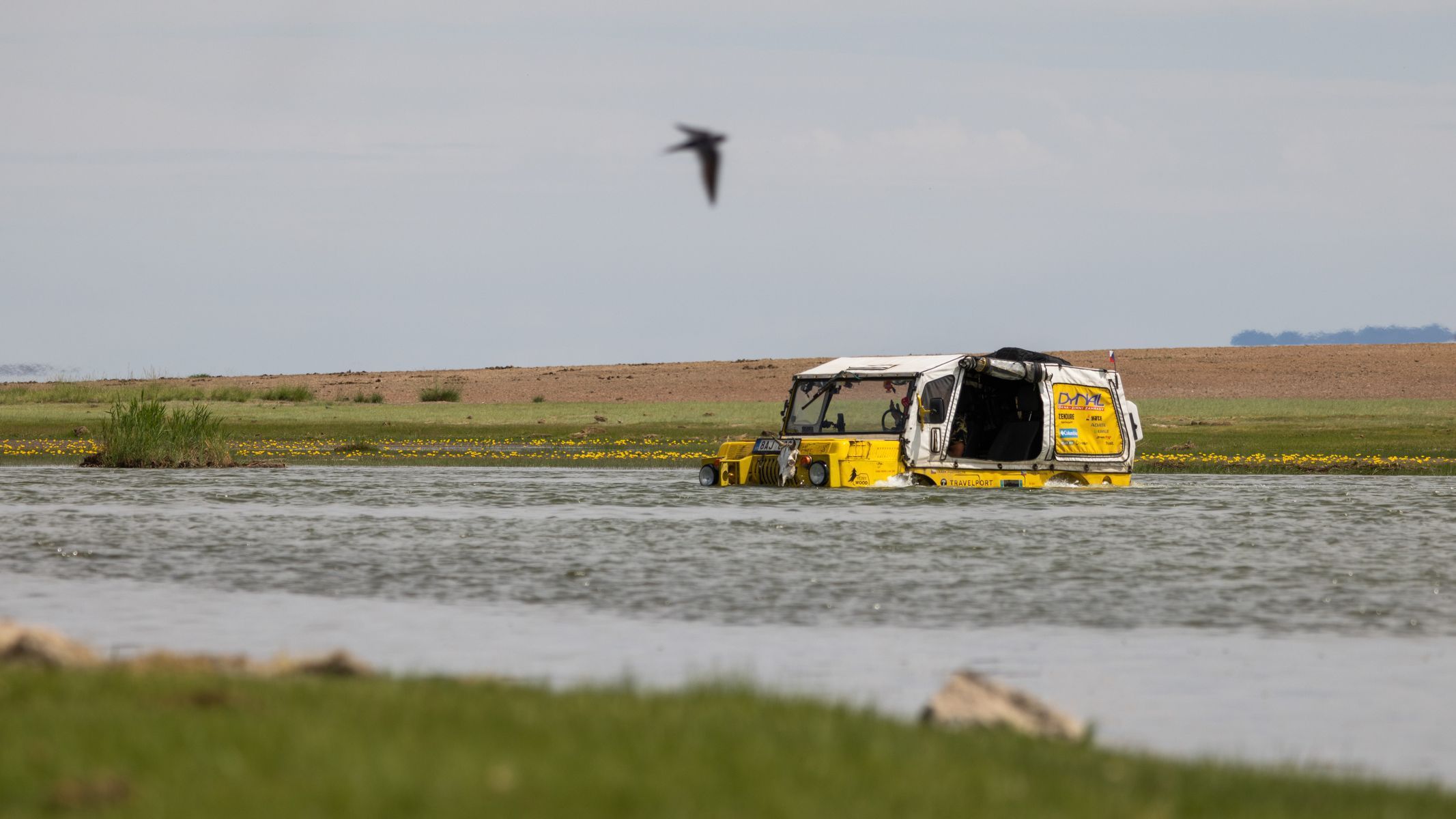Žlutá žába pluje!