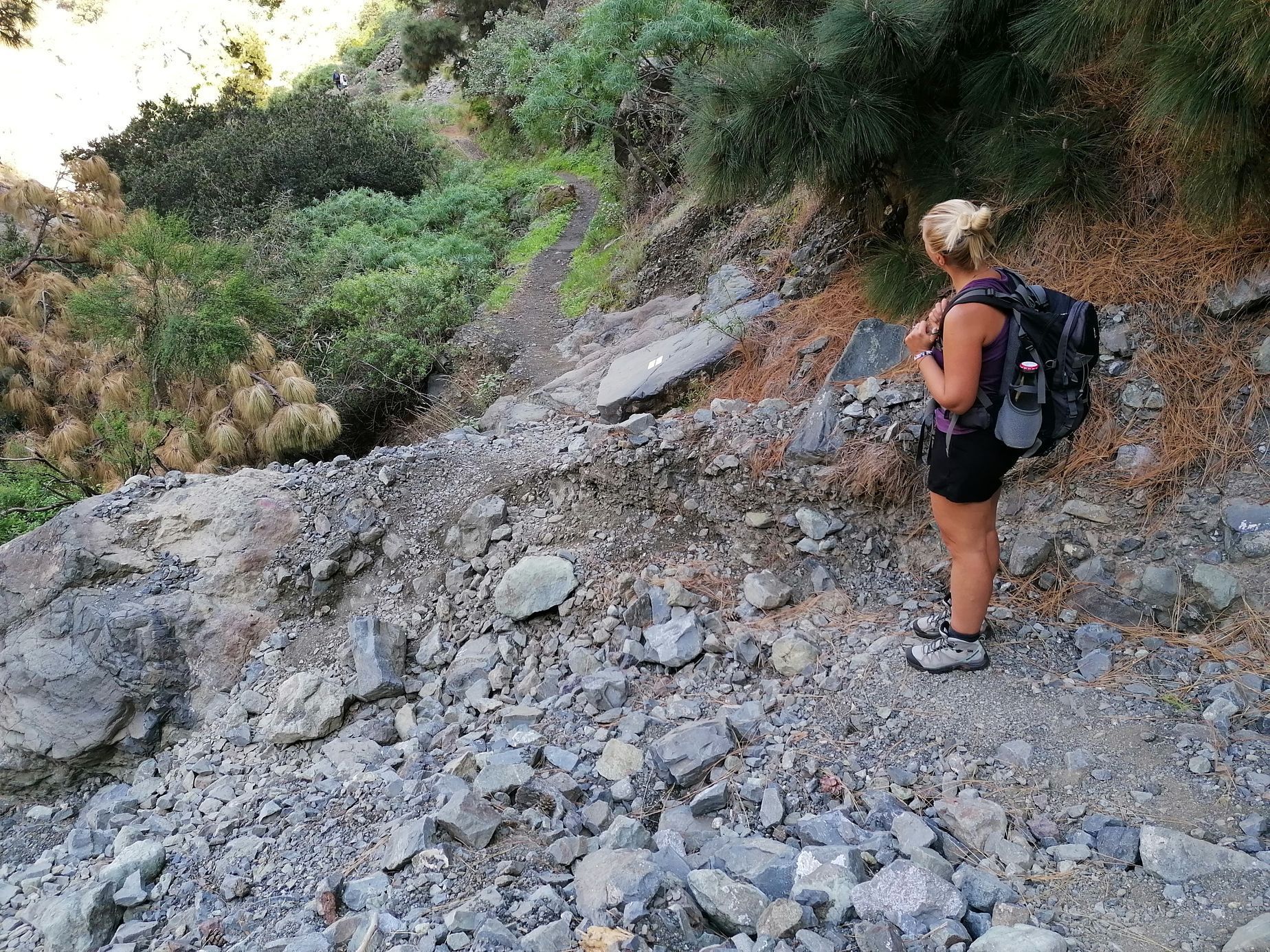 la palma