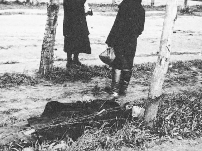 Jednorázové použití / Fotogalerie / Stalinův Holodomor na Ukrajině v 30 letech stál životy 10 miliónů lidí / Wikipedia / Public domain