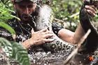 VIDEO Muž se nechal sníst anakondou. Ochránci zvířat zuří