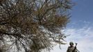 A Malian soldier stands guard with his machine gun on the road between Konna and Sevare January 27, 2013. REUTERS/Eric Gaillard (MALI - Tags: CIVIL UNREST CONFLICT MILITARY) Published: Led. 27, 2013, 3:34 odp.