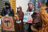 Česká pobočka mezinárodní Koalice proti palmovému oleji, která sdružuje řadu ekologických i jiných organizací a osobností, svolala do Prahy demonstraci.