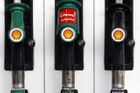 Shell je před soudem kvůli popravě nepohodlného ekologa