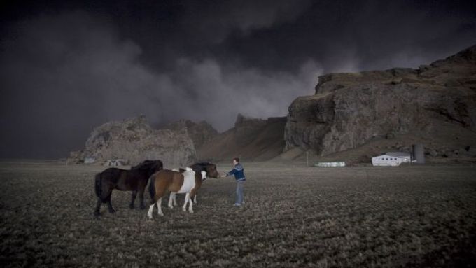 Islandský farmář Thorarinn Olafsonn se snaží odvést do bezpečí své koníky