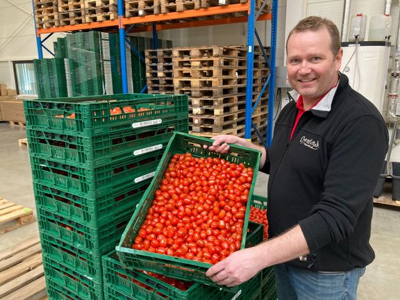 Ředitel skleníků na Farmě Bezdínek v Dolní Lutyni Jan Fučík ukazuje první letošní úrodu rajčat.