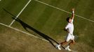 Wimbledon 2007: Novak Djokovič