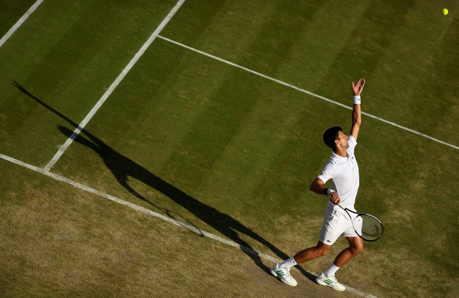 Wimbledon 2007: Novak Djokovič