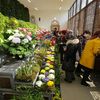 Výstava "Voda na Pražském hradě & hyacinty a hvězdníky"