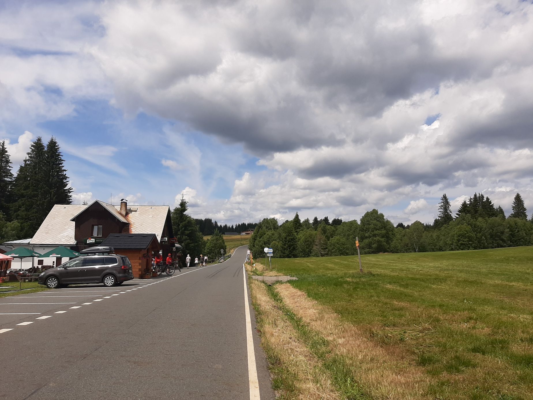 Šumava, Hamerský potok, Vydra