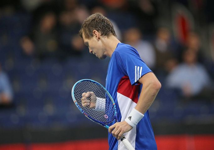 Tomáš Berdych, Davis Cup