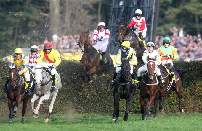 Velká pardubická 2015: Taxis