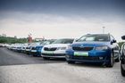 Audi A3, Škoda Octavia, Seat Leon a VW Golf: Kterou ze "stejných" ojetin vybrat?