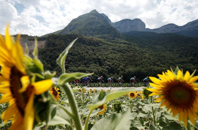 Peloton ve 13. etapě na Tour de France 2018