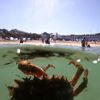 Zvířata, Reuters, Top fotografie roku 2022, výběr, nejlepší foto, Lifestyle