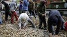 Coal miners collect rocks during a confrontation with the riot Civil Guard to protest against government spending cuts in the mining sector at the National Highway 630 in Cinera, northern Spanish province of Leon, June 7, 2012. REUTERS/Eloy Alonso (SPAIN - Tags: CIVIL UNREST BUSINESS EMPLOYMENT ENERGY) Published: Čer. 7, 2012, 3:48 odp.