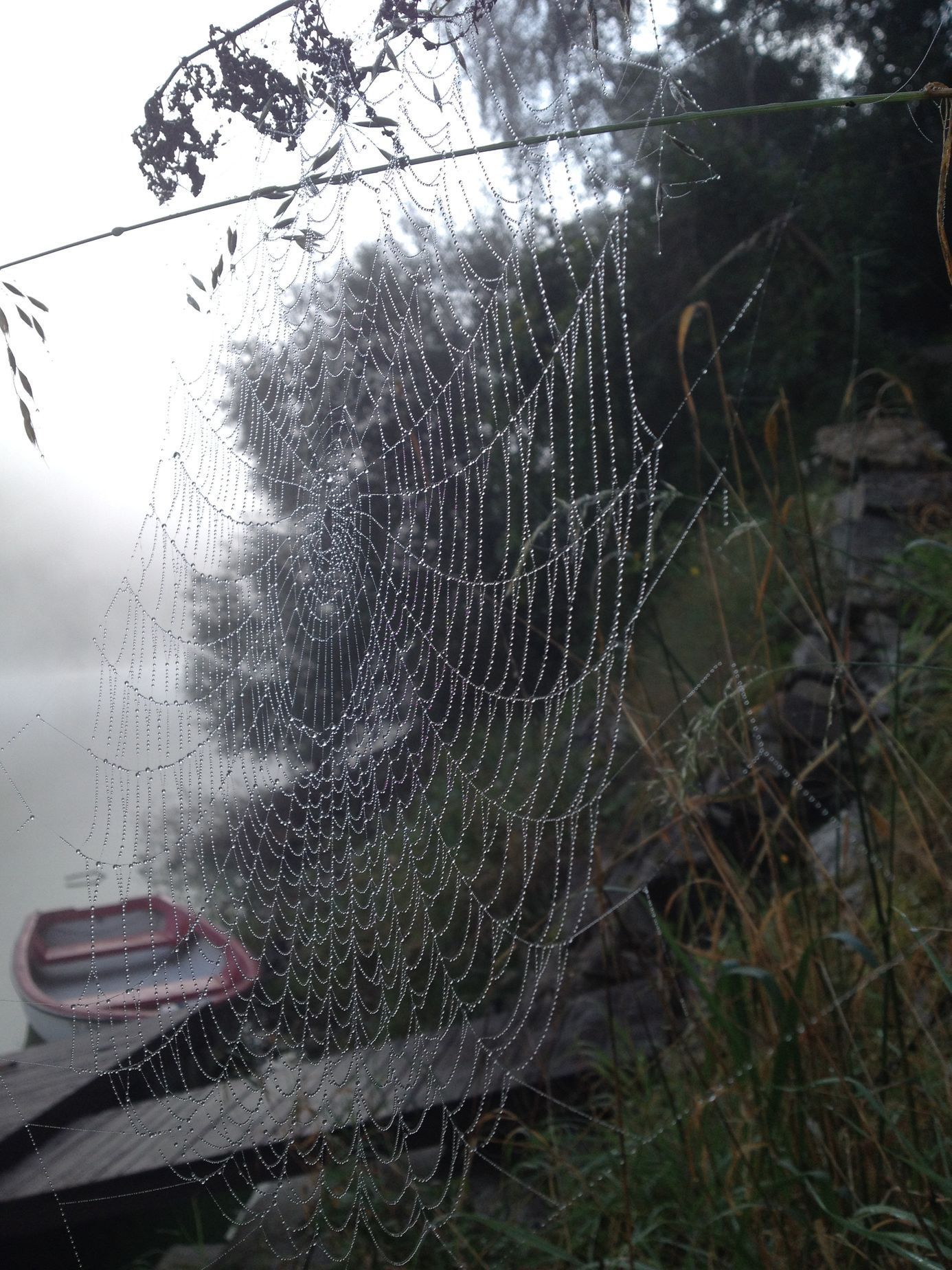 Fotosoutěž: Můj podzim - Jiří Salawa