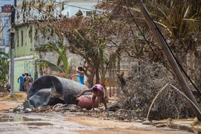 Obrazem: Bez elektřiny, bez domova a plní frustrace. Lidé se po hurikánu Irma vrací k troskám