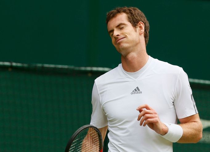 Tenis, Wimbledon, 2013: Andy Murray