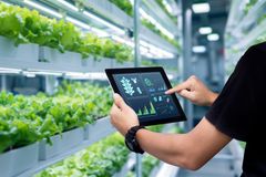 Základem úspěchu jsou data: Jak moderní firmy využívají IoT