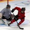 Switzerland's Stanz controls the puck in front of goaltender Alder during their ice hockey women's team training session at the Shayba Arena in preparation for the 2014 Sochi Winter Olympics in Sochi