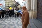 Demonstrace asi padesátky lidí, převážně starostů menších obcí Středočeského kraje, se nesla v duchu protestu proti současnému "porcování medvídka", tedy rozdělování krajských dotací.