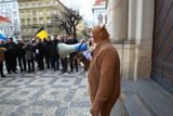 Demonstrace asi padesátky lidí, převážně starostů menších obcí Středočeského kraje, se nesla v duchu protestu proti současnému "porcování medvídka", tedy rozdělování krajských dotací.