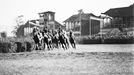 Závodní dění na dostihovém závodišti Velká Chuchle. 23.09.1956